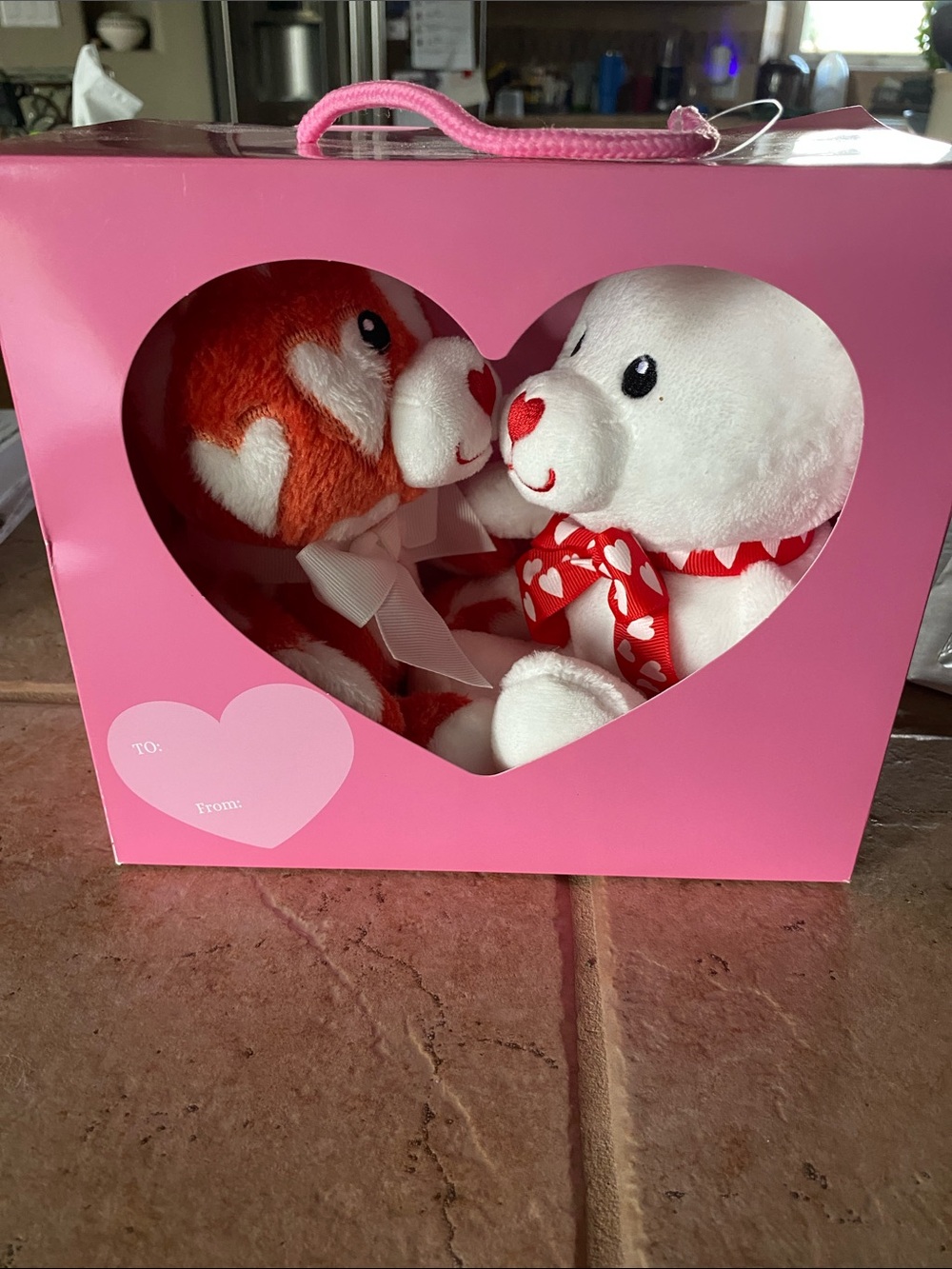 Heart Plush Bears Gift Set - Pink Box